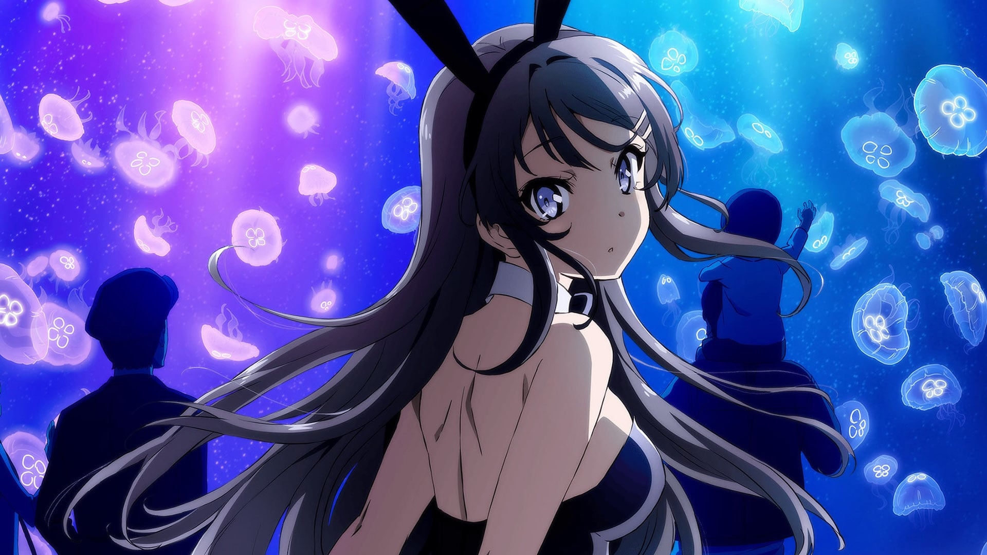 Banner da primeira temporada do animê Bunny Girl